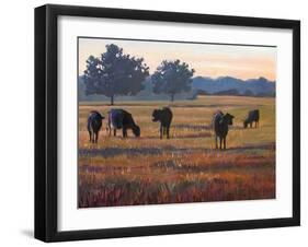 Foggy Morning Light-Patty Baker-Framed Art Print