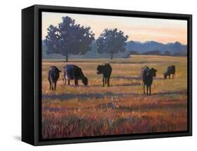 Foggy Morning Light-Patty Baker-Framed Stretched Canvas