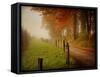 Foggy Morning on Hyatt Lane-Danny Head-Framed Stretched Canvas