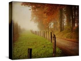 Foggy Morning on Hyatt Lane-Danny Head-Stretched Canvas