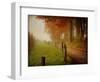 Foggy Morning on Hyatt Lane-Danny Head-Framed Art Print