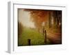 Foggy Morning on Hyatt Lane-Danny Head-Framed Art Print