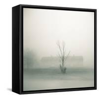 Foggy Morning Scene with Barn-Kevin Cruff-Framed Stretched Canvas