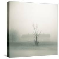 Foggy Morning Scene with Barn-Kevin Cruff-Stretched Canvas