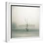 Foggy Morning Scene with Barn-Kevin Cruff-Framed Photographic Print