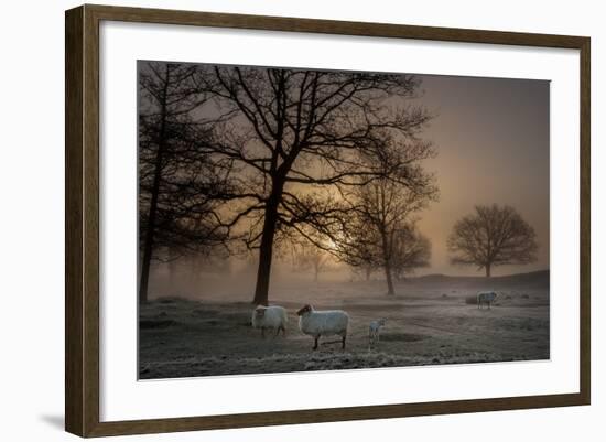 Foggy Morning-Piet Haaksma-Framed Photographic Print