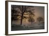 Foggy Morning-Piet Haaksma-Framed Photographic Print