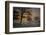 Foggy Morning-Piet Haaksma-Framed Photographic Print