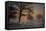 Foggy Morning-Piet Haaksma-Framed Stretched Canvas