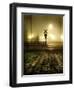 Foggy Night-Jody Miller-Framed Photographic Print