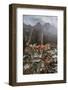 Foggy North Cascades-Belinda Shi-Framed Photographic Print