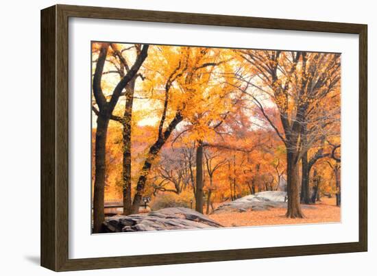 Foggy October Afternoon in Central Park, Manhattan, New York Cit-Sabine Jacobs-Framed Photographic Print