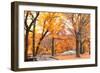 Foggy October Afternoon in Central Park, Manhattan, New York Cit-Sabine Jacobs-Framed Photographic Print