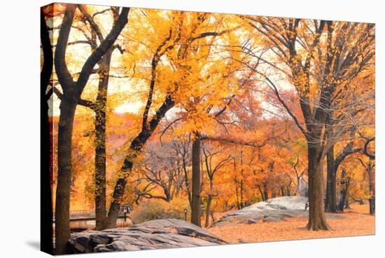 Foggy October Afternoon in Central Park, Manhattan, New York Cit-Sabine Jacobs-Stretched Canvas