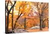 Foggy October Afternoon in Central Park, Manhattan, New York Cit-Sabine Jacobs-Stretched Canvas