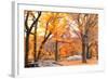 Foggy October Afternoon in Central Park, Manhattan, New York Cit-Sabine Jacobs-Framed Photographic Print