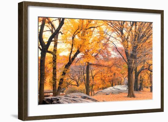 Foggy October Afternoon in Central Park, Manhattan, New York Cit-Sabine Jacobs-Framed Photographic Print