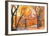 Foggy October Afternoon in Central Park, Manhattan, New York Cit-Sabine Jacobs-Framed Photographic Print