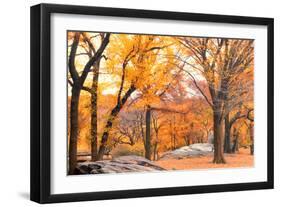 Foggy October Afternoon in Central Park, Manhattan, New York Cit-Sabine Jacobs-Framed Premium Photographic Print