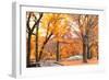 Foggy October Afternoon in Central Park, Manhattan, New York Cit-Sabine Jacobs-Framed Premium Photographic Print