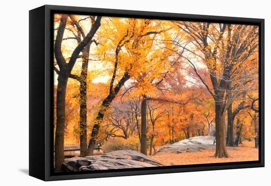 Foggy October Afternoon in Central Park, Manhattan, New York Cit-Sabine Jacobs-Framed Stretched Canvas