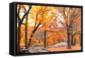 Foggy October Afternoon in Central Park, Manhattan, New York Cit-Sabine Jacobs-Framed Stretched Canvas