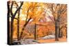 Foggy October Afternoon in Central Park, Manhattan, New York Cit-Sabine Jacobs-Stretched Canvas