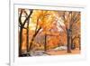 Foggy October Afternoon in Central Park, Manhattan, New York Cit-Sabine Jacobs-Framed Photographic Print