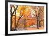 Foggy October Afternoon in Central Park, Manhattan, New York Cit-Sabine Jacobs-Framed Photographic Print