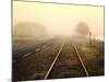 Foggy on the Tracks-Jody Miller-Mounted Photographic Print