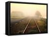 Foggy on the Tracks-Jody Miller-Framed Stretched Canvas