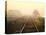 Foggy on the Tracks-Jody Miller-Stretched Canvas