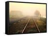 Foggy on the Tracks-Jody Miller-Framed Stretched Canvas