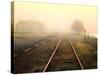 Foggy on the Tracks-Jody Miller-Stretched Canvas