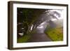 Foggy Path-George Johnson-Framed Photographic Print