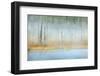 Foggy pond and forest, Mount Robson PP, British Columbia, Canada.-Don Paulson-Framed Photographic Print