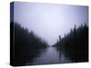 Foggy River, Chile-Michael Brown-Stretched Canvas