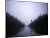 Foggy River, Chile-Michael Brown-Mounted Photographic Print