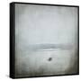 Foggy River-Jai Johnson-Framed Stretched Canvas