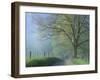 Foggy Road and Oak Tree, Cades Cove, Great Smoky Mountains National Park, Tennessee, USA-Darrell Gulin-Framed Photographic Print