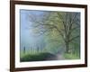 Foggy Road and Oak Tree, Cades Cove, Great Smoky Mountains National Park, Tennessee, USA-Darrell Gulin-Framed Photographic Print