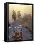 Foggy Sunrise at Sunrise Point with Snow, Bryce Canyon National Park, Utah-James Hager-Framed Stretched Canvas