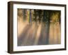 Foggy Sunrise at Tamarac National Wildlife Refuge, near Detroit Lakes, Minnesota, USA-Chuck Haney-Framed Premium Photographic Print