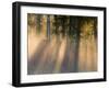 Foggy Sunrise at Tamarac National Wildlife Refuge, near Detroit Lakes, Minnesota, USA-Chuck Haney-Framed Premium Photographic Print