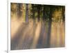 Foggy Sunrise at Tamarac National Wildlife Refuge, near Detroit Lakes, Minnesota, USA-Chuck Haney-Framed Photographic Print