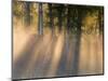 Foggy Sunrise at Tamarac National Wildlife Refuge, near Detroit Lakes, Minnesota, USA-Chuck Haney-Mounted Photographic Print