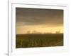 Foggy sunrise, Boyd, Wisconsin, USA-Chuck Haney-Framed Photographic Print