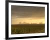 Foggy sunrise, Boyd, Wisconsin, USA-Chuck Haney-Framed Photographic Print