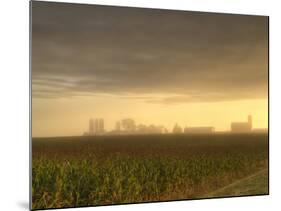 Foggy sunrise, Boyd, Wisconsin, USA-Chuck Haney-Mounted Photographic Print