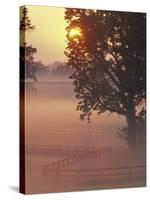 Foggy Sunrise on Horse Farm, Kentucky-Kent Foster-Stretched Canvas